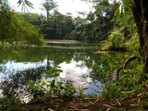 Rainforest Eco Lodge, Suva